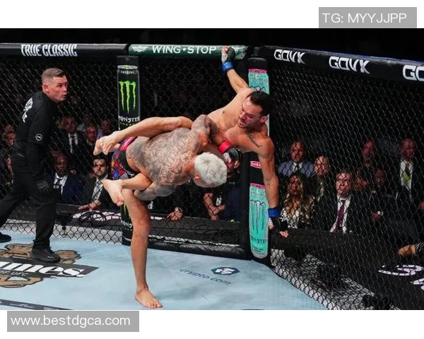 奎维利与奥尔良激战正酣谁能在这场较量中脱颖而出 奎维利与奥尔良激战正酣谁能在这场较量中脱颖而出