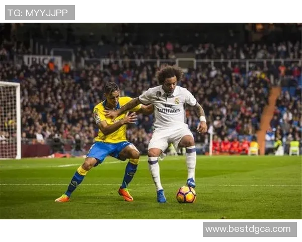 帕梅拉斯与巴竞技的激烈对决揭示巴西足球的魅力与竞争力