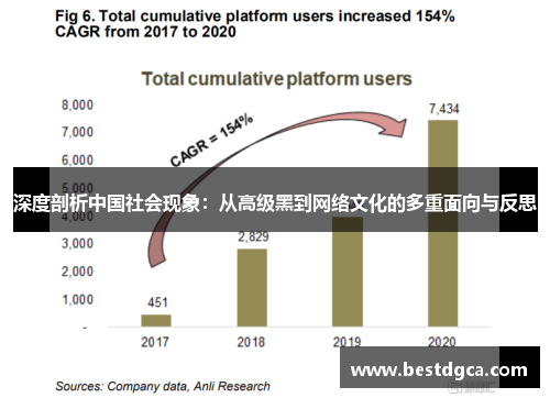 深度剖析中国社会现象：从高级黑到网络文化的多重面向与反思