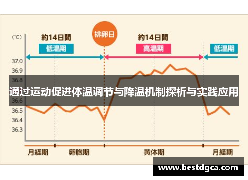 通过运动促进体温调节与降温机制探析与实践应用